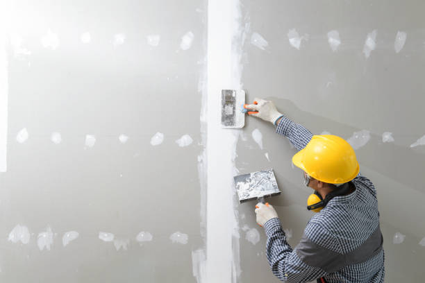 Best Fire-Damaged Drywall Repair  in USA